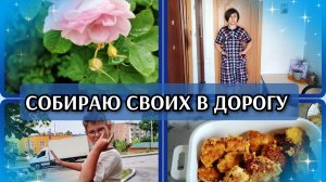 14-06-2026 Дождик прогнал жару☔Сборы в дорогу🎒Покупки с ВБ и Пятёрочки🛒Про обоняние и спатифилум❤️