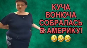 КУЧА ВОНЮЧА СОБРАЛАСЬ В АМЕРИКУ. ПИРАТСКАЯ ЖИЗНЬ. ОБЗОР.