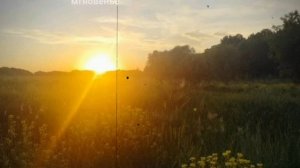 закат вдохновления