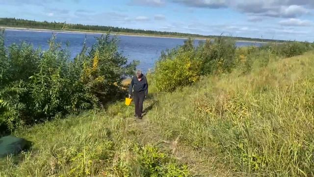 Котёл в таёжной Избе Бред или нет Отшельники (30 лет одиночества 91 серия) смотреть онлайн