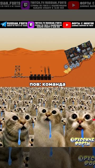 Ну команда #русскиефорты #forts #meme #мем #pov
