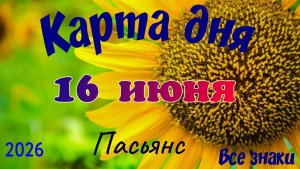 Карта дня🍓16 июня 💫🍀Пасьянс. Тайм-код в описании 🦢