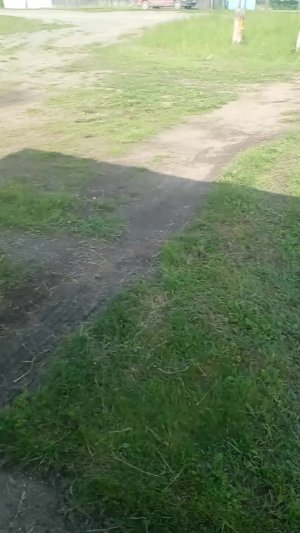 гулялю