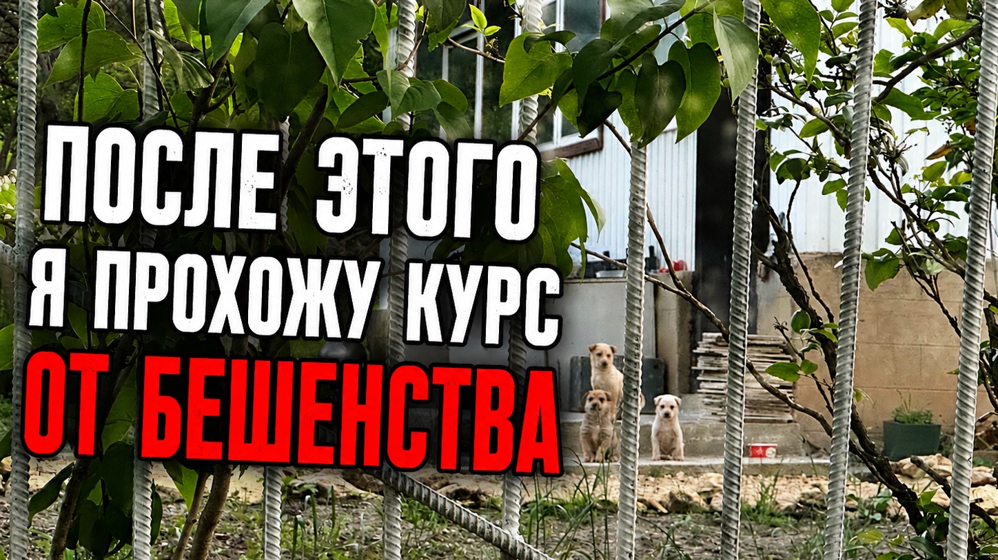 ЧЕМ ЗАКОНЧИЛСЯ ОБЫЧНЫЙ ДЕНЬ НА СТРОЙКЕ! смотреть онлайн
