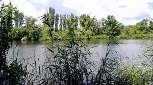 Моя мама попала в РЕАНИМАЦИЮ/Простая жизнь в провинции/Россия 🇷🇺