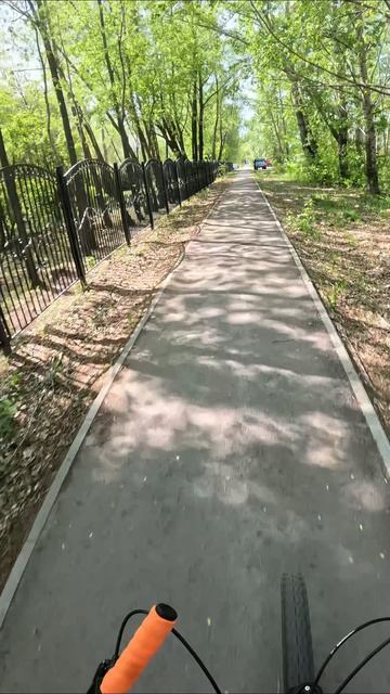 Красивая аллея тополей, а как пух пойдём - ммм, каеф 😶🌫️ #велопоездка #велосипед #Тюмень