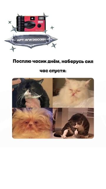 Плёночный фотоаппарат на 36 кадров (Артикул WB: #WW360391)💕