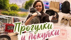 Прогулки/покупки