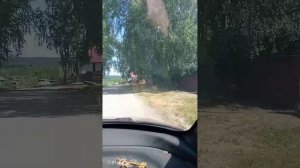 Нам дома не сидится 😂🤭