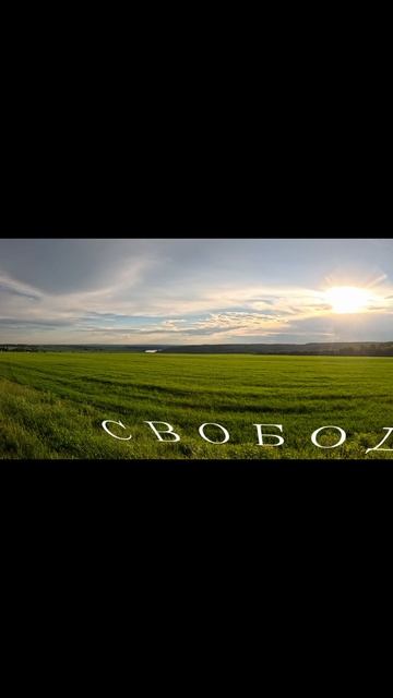 Свобода!