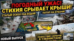 АПОКАЛИПСИС СЕГОДНЯ: Старый Оскол тонет, Кубань смывает, Узбекистан атакует саранча!