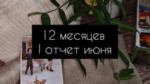 12 месяцев. 1 отчёт за июнь