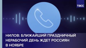 Нилов: ближайший праздничный нерабочий день ждет россиян в ноябре