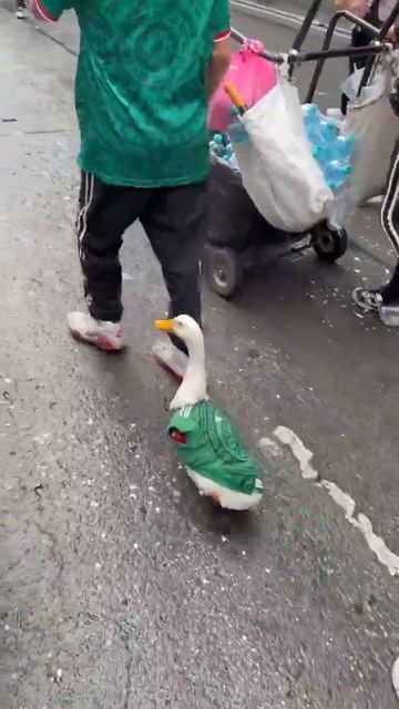 Особый болельщик😂