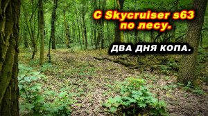 Военные потеряшки.