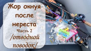 Жор окуня после нереста. Часть 2 (отводной поводок)