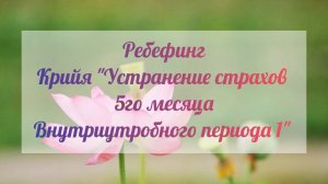28 ребефинг УСТРАНЕНИЕ СТРАХОВ 5го МЕСЯЦА ВНУТРИУТРОБНОГО ПЕРИОДА 1 28 крийя из 2 тома Ребефинг