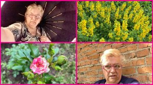 14.06.26 🌺ОГОРОД 🌺 НОВЫЙ ЗОНТ 🌺 НЕМНОГО МОЕГО ВЯЗАНИЯ 🧶
