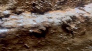 IMG_0629