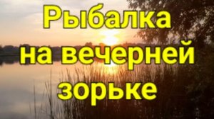 Рыбалка на вечерней зорьке.
