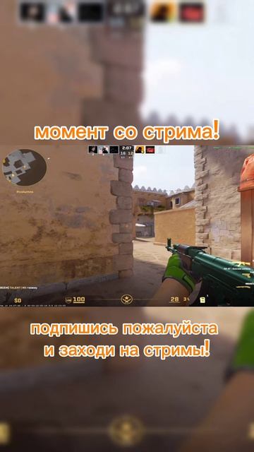 момент со стрима!