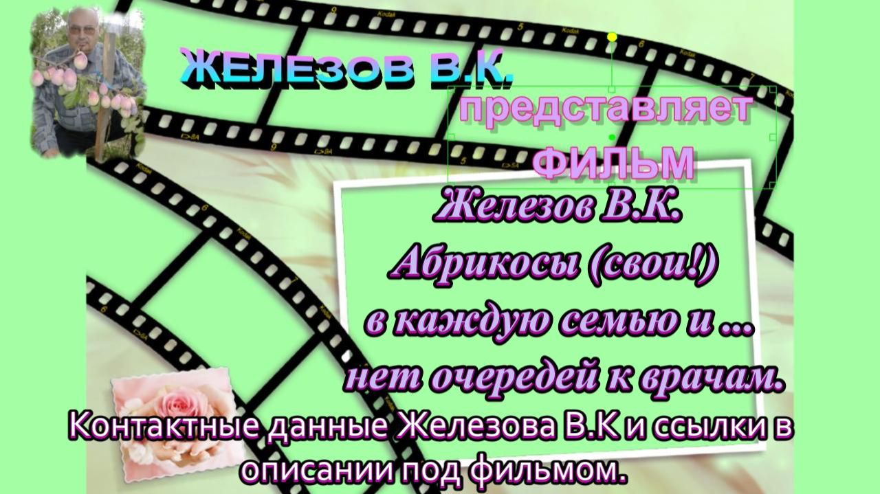 Железов В.К. Абрикосы (свои!)  в каждую семью и ... нет очередей к врачам.