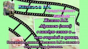 Железов В.К. Абрикосы (свои!)  в каждую семью и ... нет очередей к врачам.