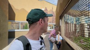Новый Пермский зоопарк, прогулка, обзор.