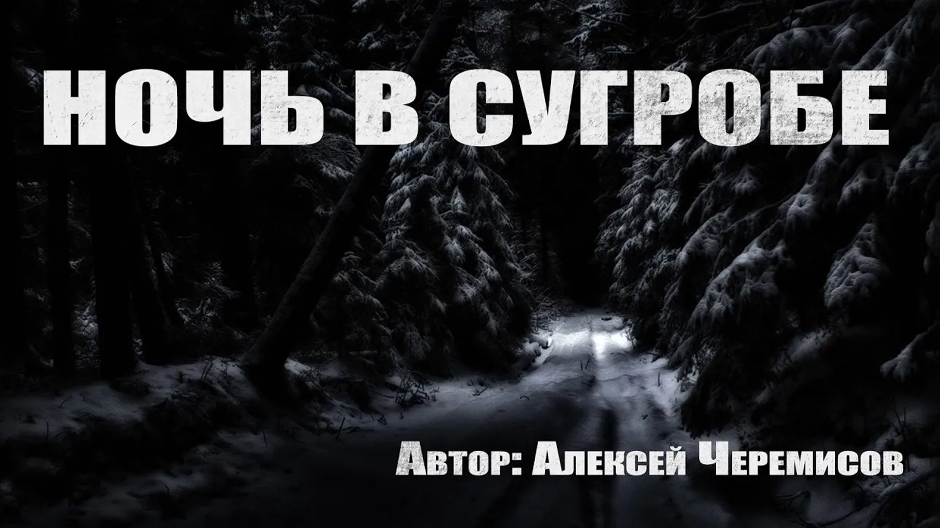 НОЧЬ В СУГРОБЕ. Страшные истории про лес. Мистика. Страшные истории