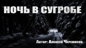 НОЧЬ В СУГРОБЕ. Страшные истории про лес. Мистика. Страшные истории