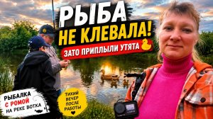Рыбалка после работы | Рыба не клевала, но вечер запомнится надолго
