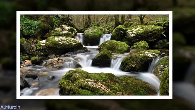 Messiah Project - Dalimansa Suite - Reprise