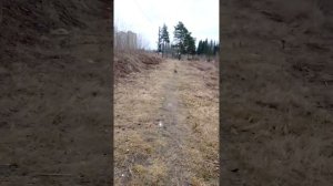 6418173856311