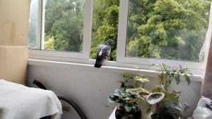 еду в Астрахань помогите собрать вещи