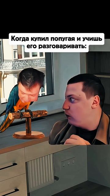 Папугiй смотреть онлайн
