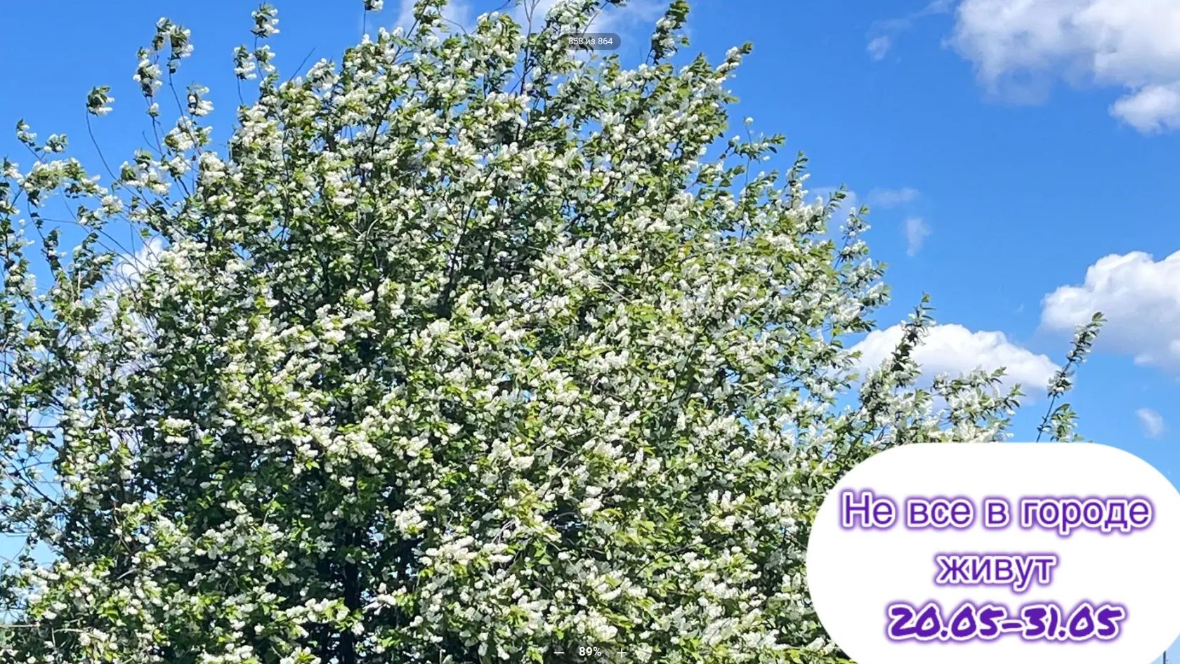 Сельский влог. Не все в городе живут. Забытая серия 20.05-01-06.2026