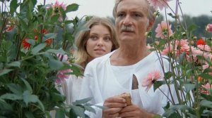 Всадник