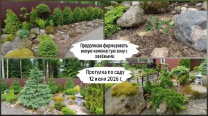 Прогулка по саду 12 июня 2026 г. ( 1 часть).
