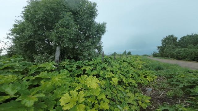 01 смотреть онлайн