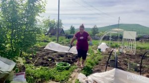 Борьба с сорняками в ритме танца