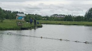 MOV_20260614_144754_762