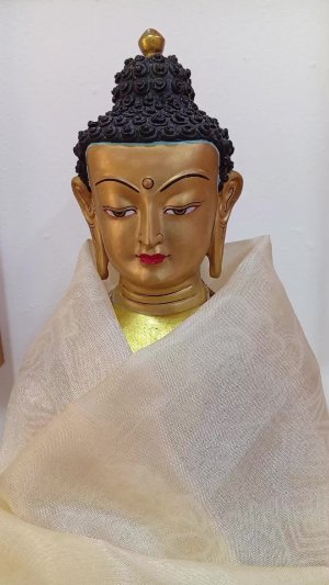 Луйжин