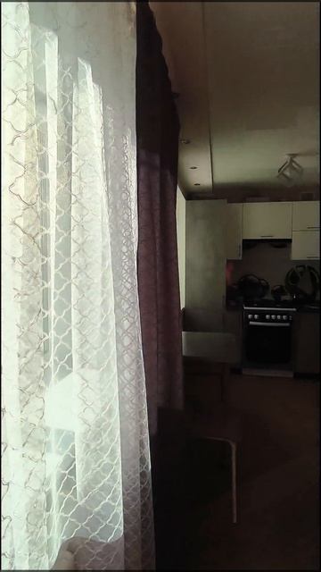 1000596111.mp4