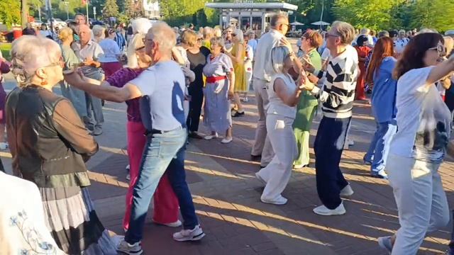14 июня.Все цветы....