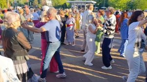 14 июня.Все цветы....