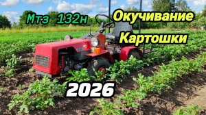 Мтз 132н Окучивание картошки 2026
