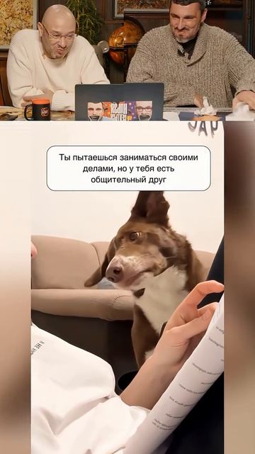 Мастер намёков 😹 😁