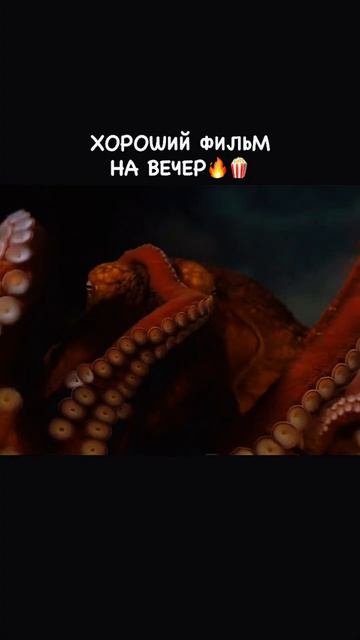 Воспитывает осьминога 😲😲