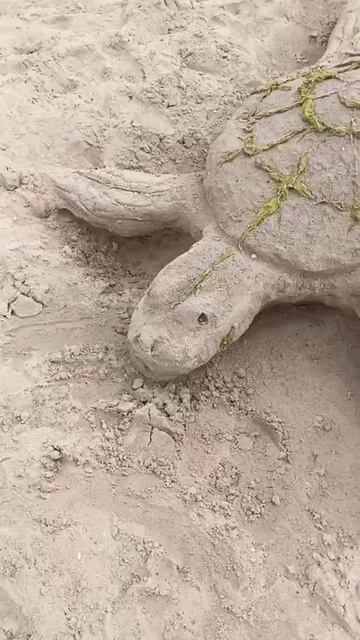 #красота на море