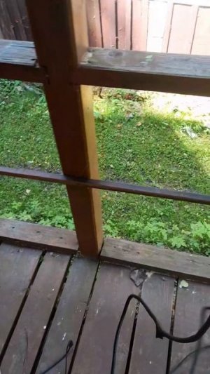 медь из старого гигантского кинескопного телевизора самсунг. (меди получилось очень мало).
